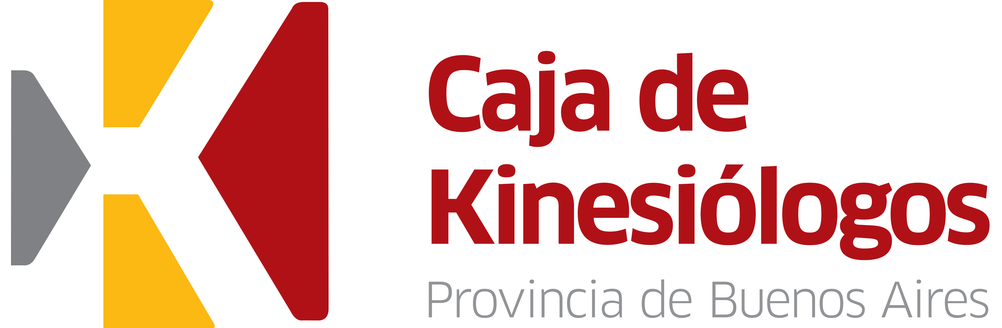 Caja de Kinesiólogos de la Provincia de Buenos Aires